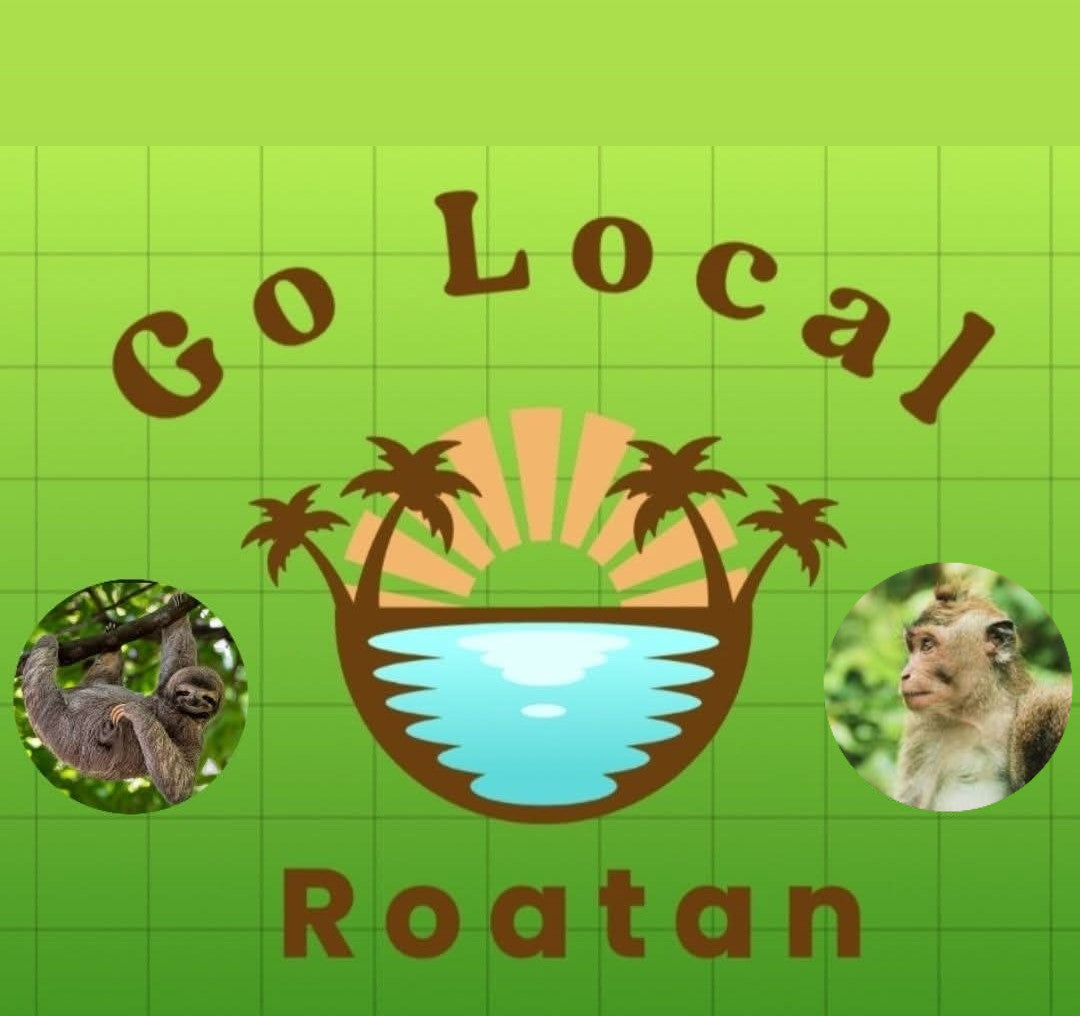 golocalroatan.com